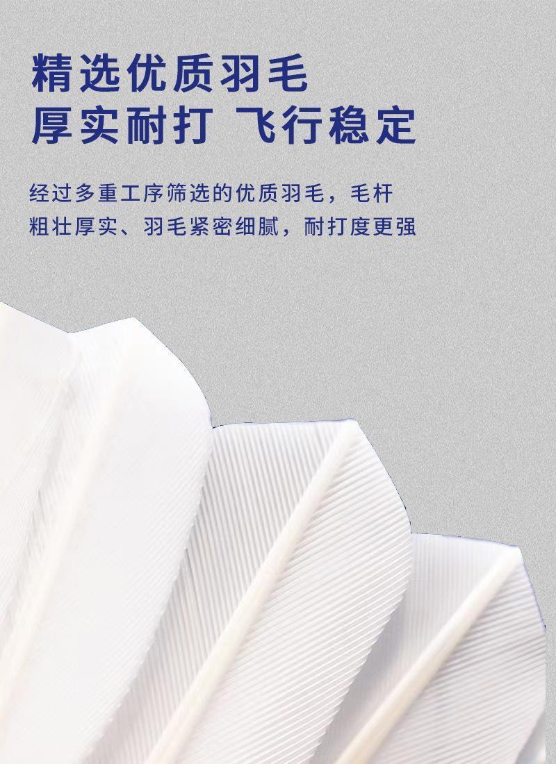 187ca522-2463-405d-a3d9-f03cd878e80d.jpe