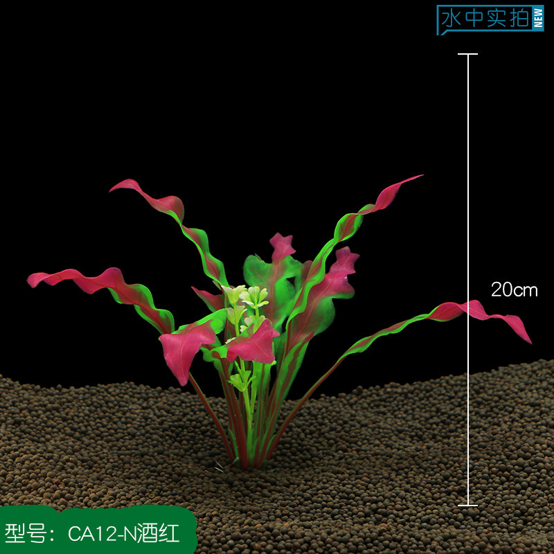 CA12-N酒红