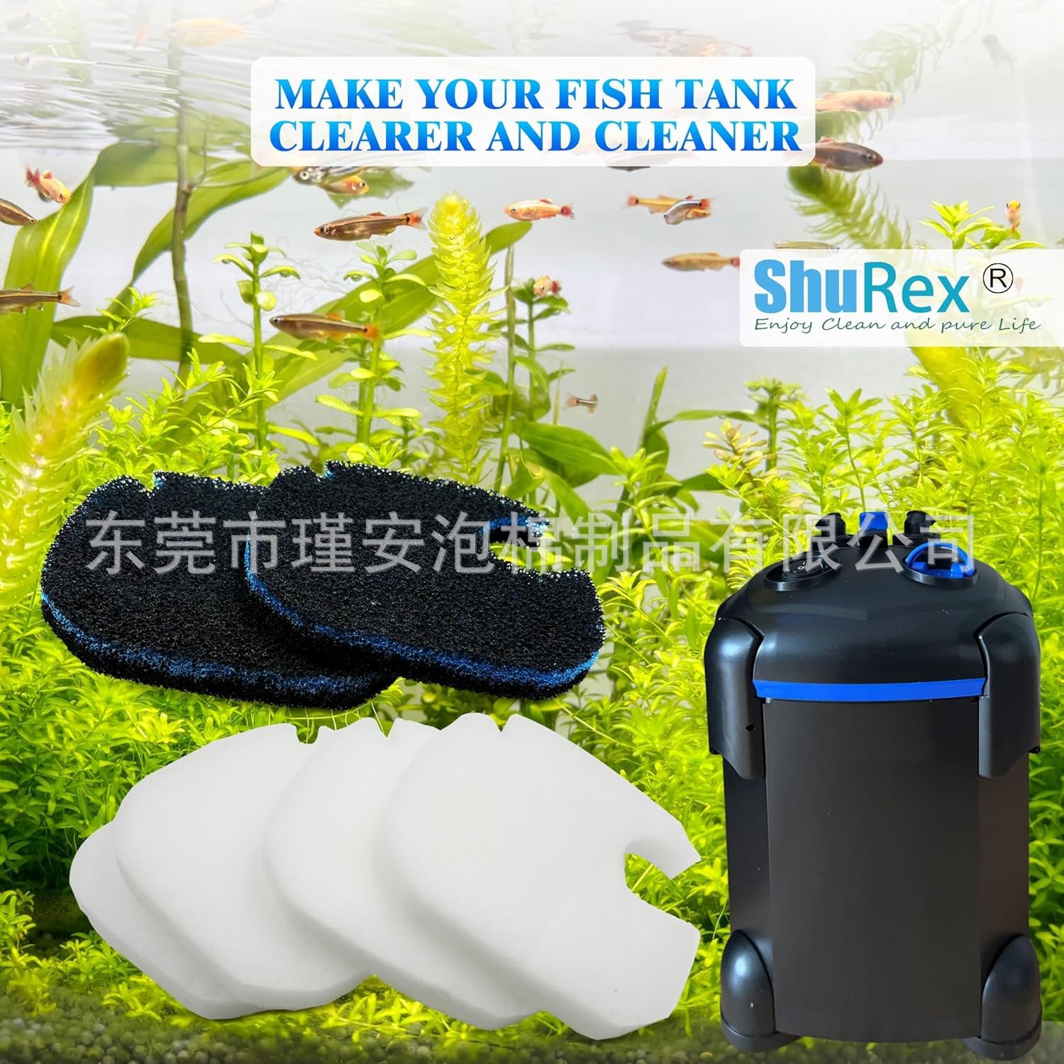 817XsQGr9UL._AC_SL1500_