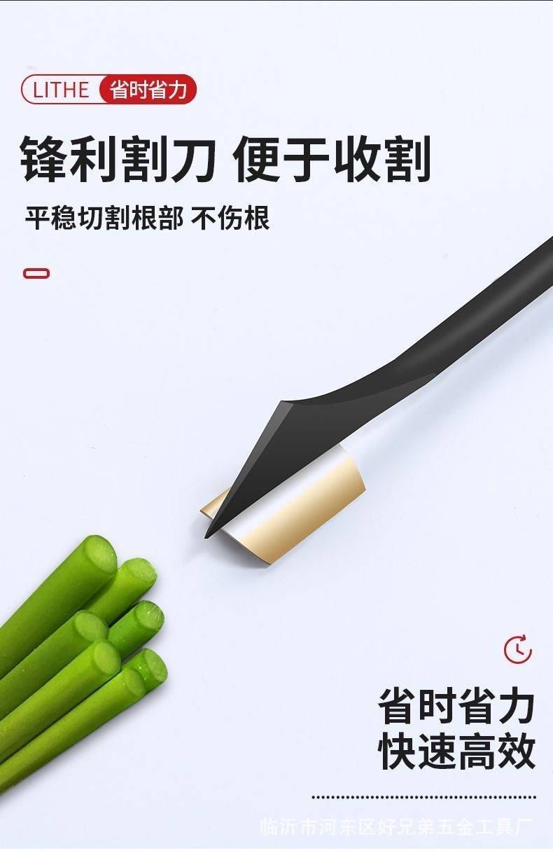 微信图片_202504141525191.jpg