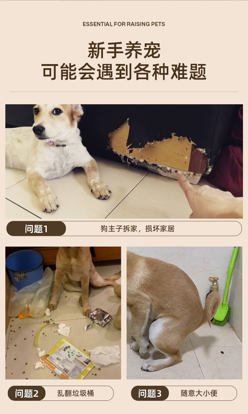 499b4ba1-acbf-4a25-96dd-848d7d7950ef.jpe