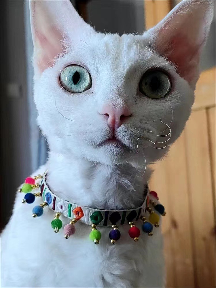 微信图片_20231122151120