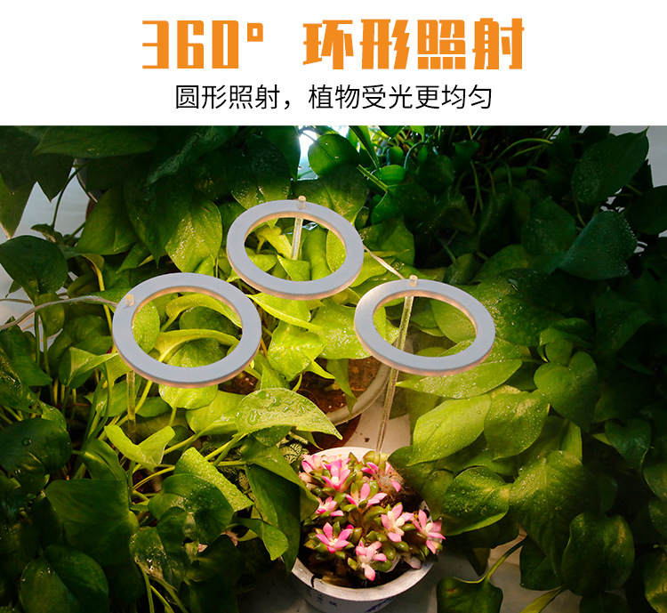 详情页_02.jpg
