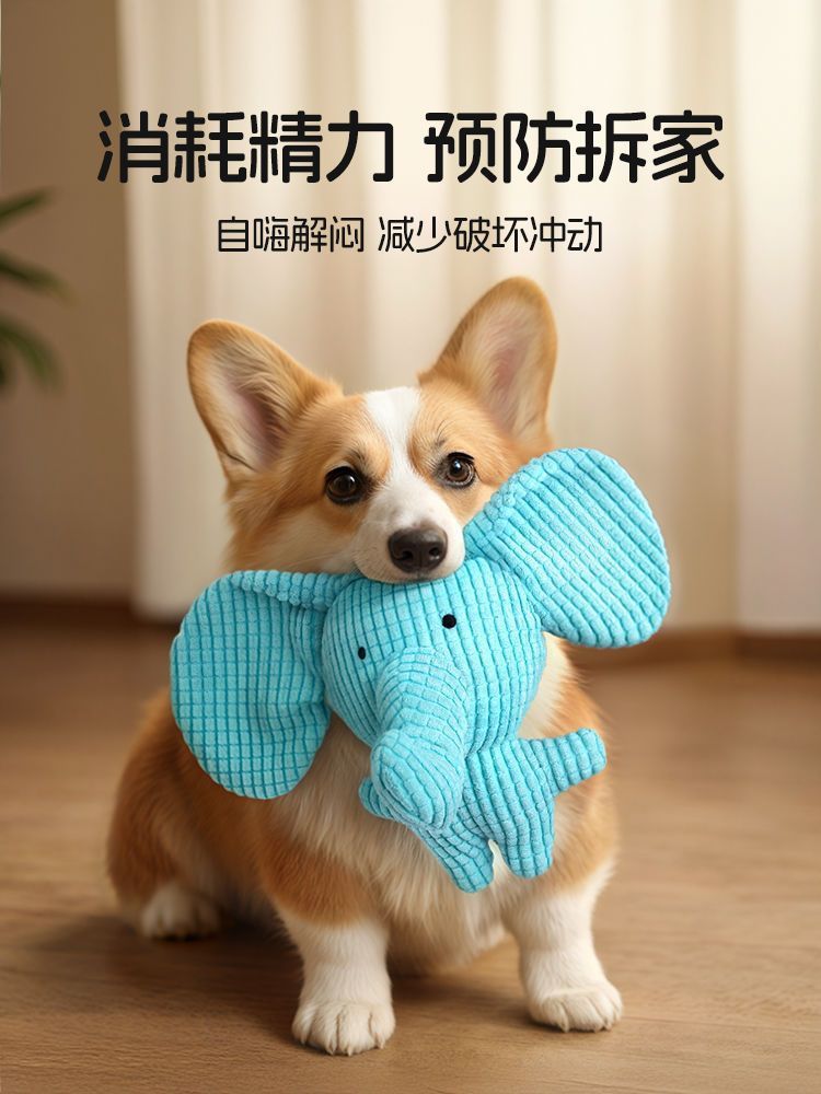 dbb8c551-811b-4b59-af02-3ef86962cb0a.jpe