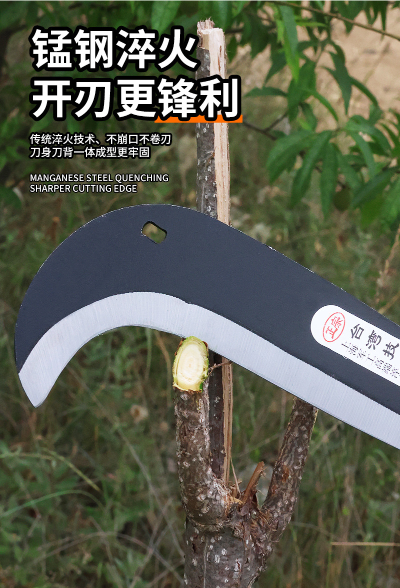未标题-1_06.jpg