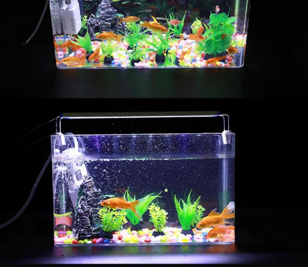 d2f720be-0b25-47dd-a513-b56a7747bdce.jpe