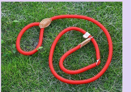 343f89f4-a878-4c41-b0d5-d871e065c2f6.jpe