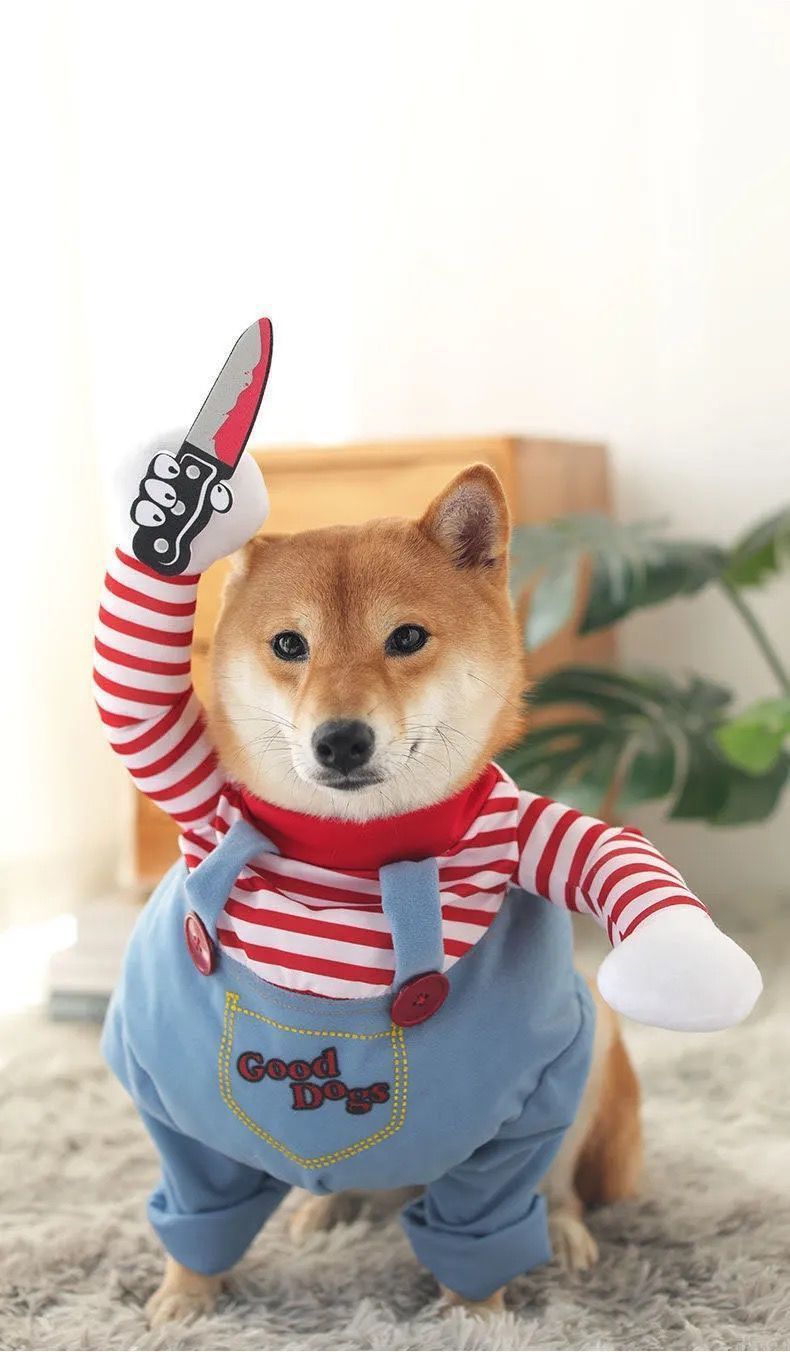 49bc19ae-fdf7-4d47-b778-184f65a61942.jpe