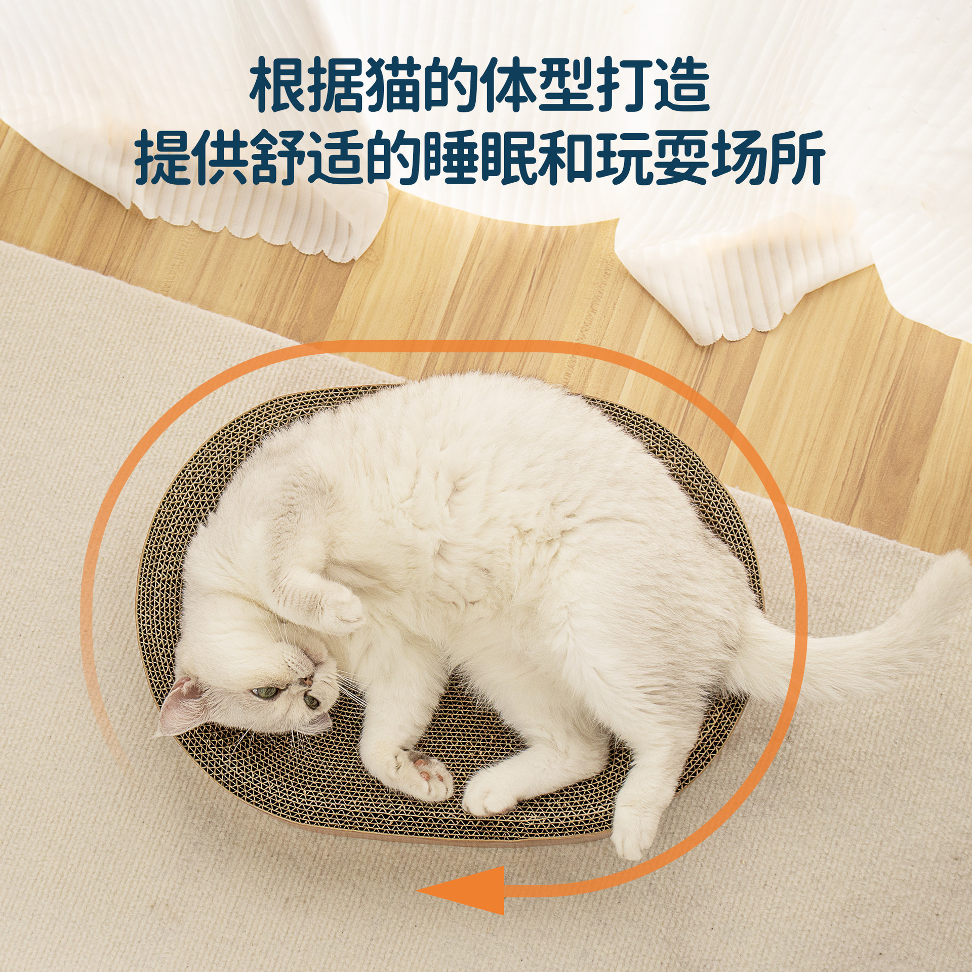 功能 中-3