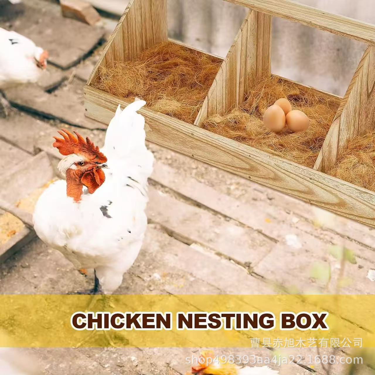 微信图片_20250611102336