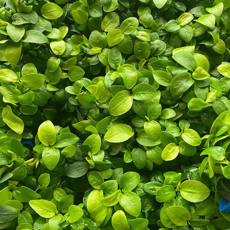 b06f56c7182b383b697ac7b6371b64