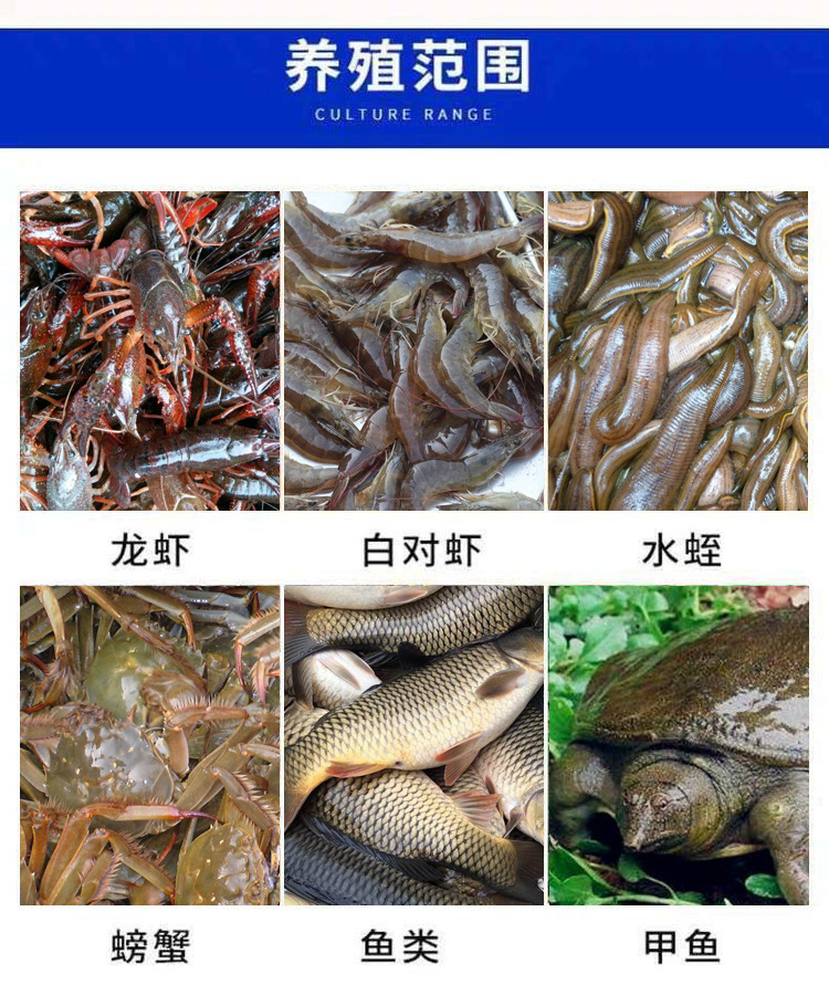 鱼池_04.jpg