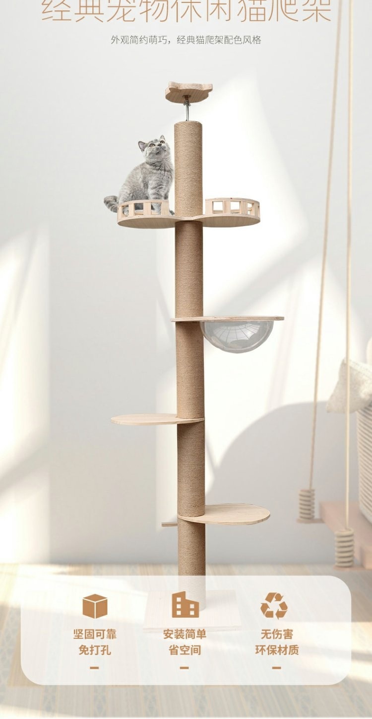 a6cecaa85024eecc99e1acc355a4e117.jpg?x-oss-process=image/format,png