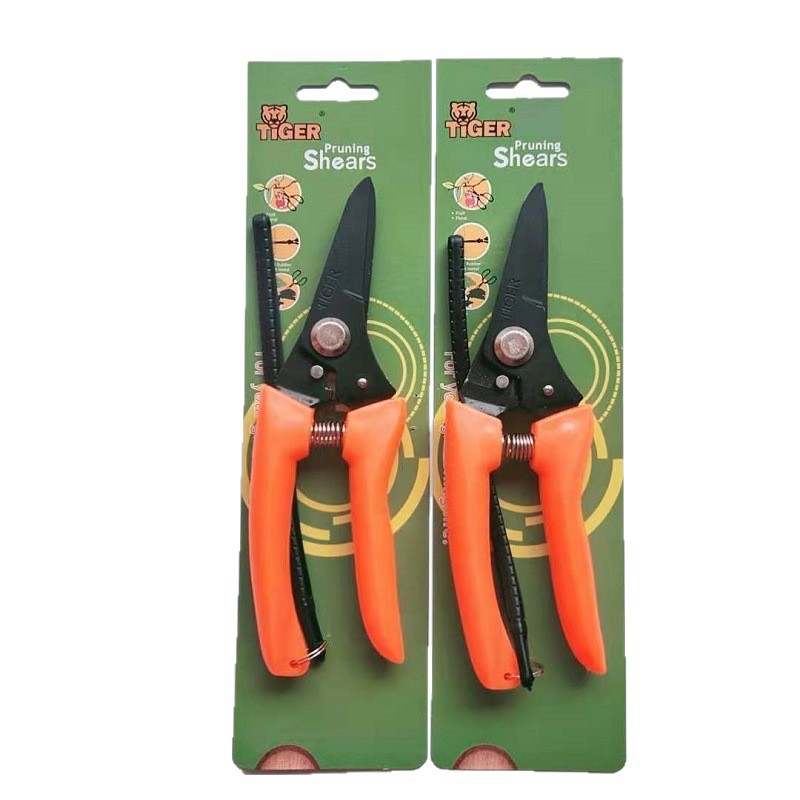 2025-06-09 18:29:37.jpg