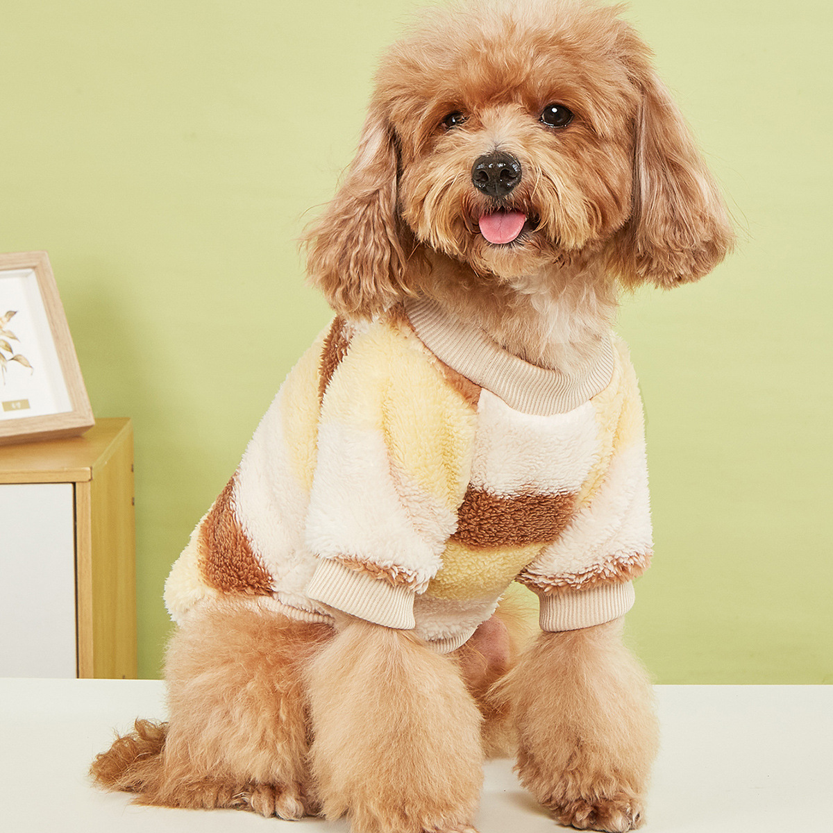 秋冬毛绒宠物卫衣 狗衣服猫衣服 欧康宠物用品