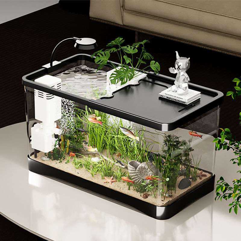 3be3c794-a6a3-4dfa-8b4d-b21f9892c346.jpe