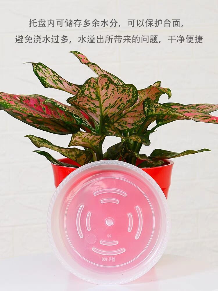 5b48185a-dbf1-43a7-95c4-dbc6dd3062d7.jpe