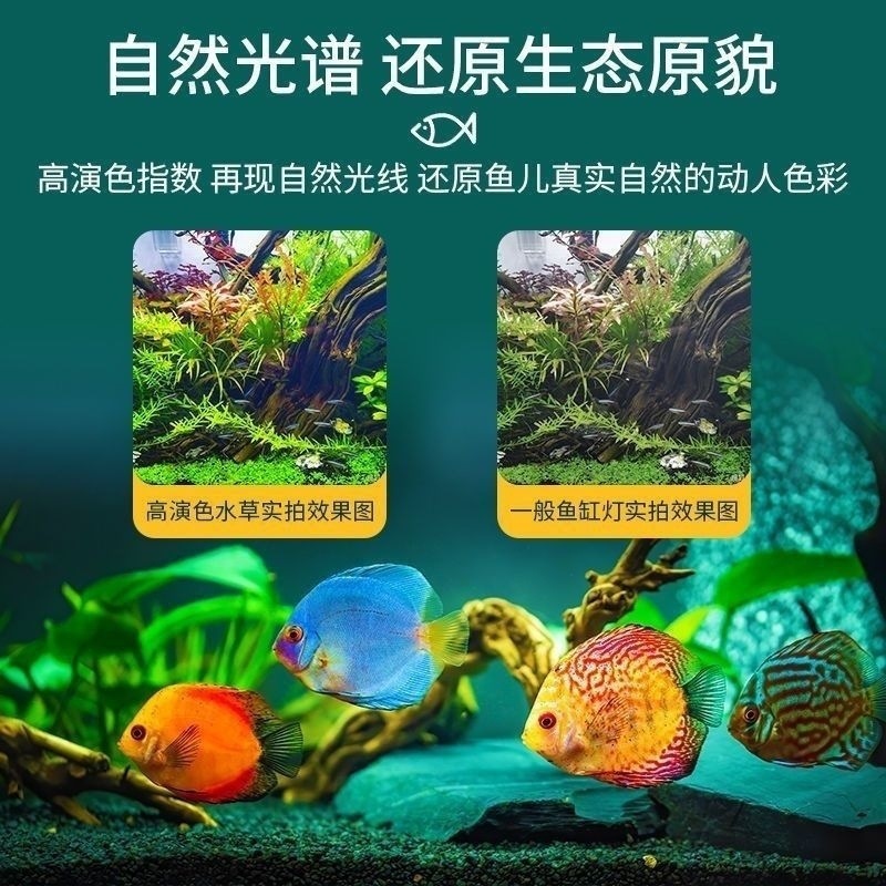 09527111-5deb-47e2-8fdd-69847f0962ef.jpe