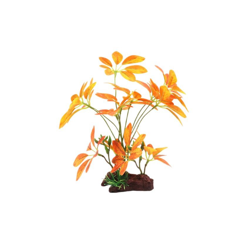 2025-02-17 11:39:05.jpg