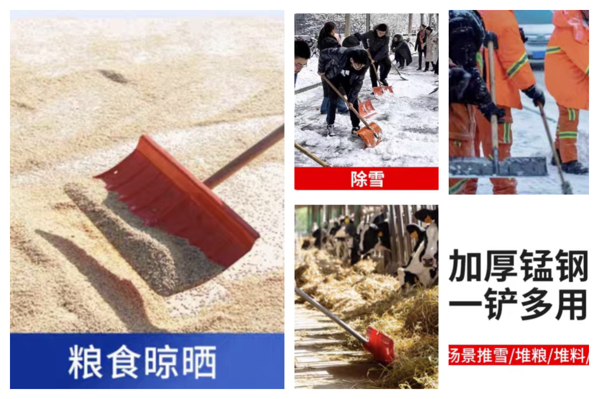 Screenshot_20241210_155127_com