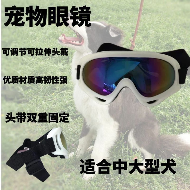 485363b6-060a-4de3-8e94-f0bb37e21d21.jpe