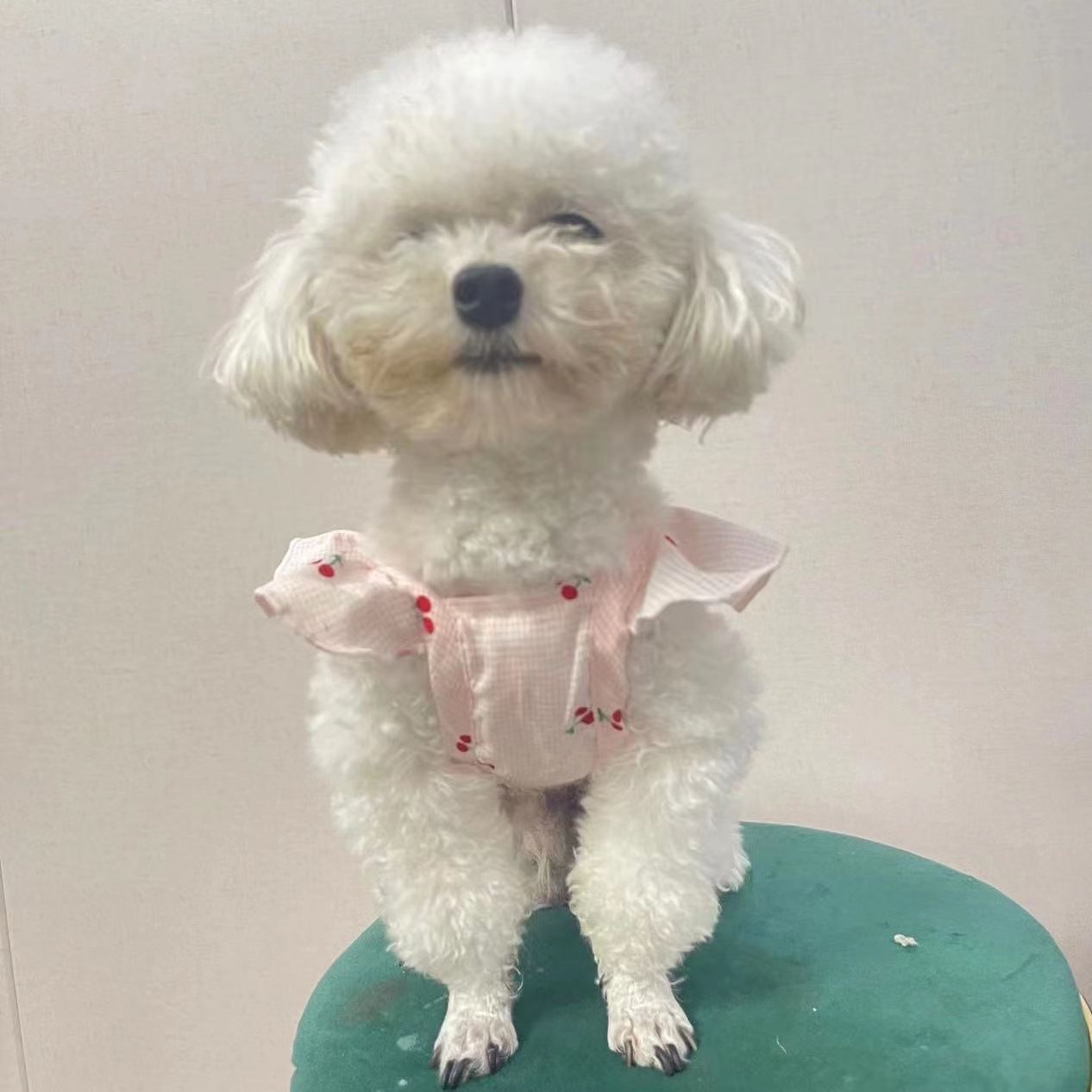 微信图片_20220520155917