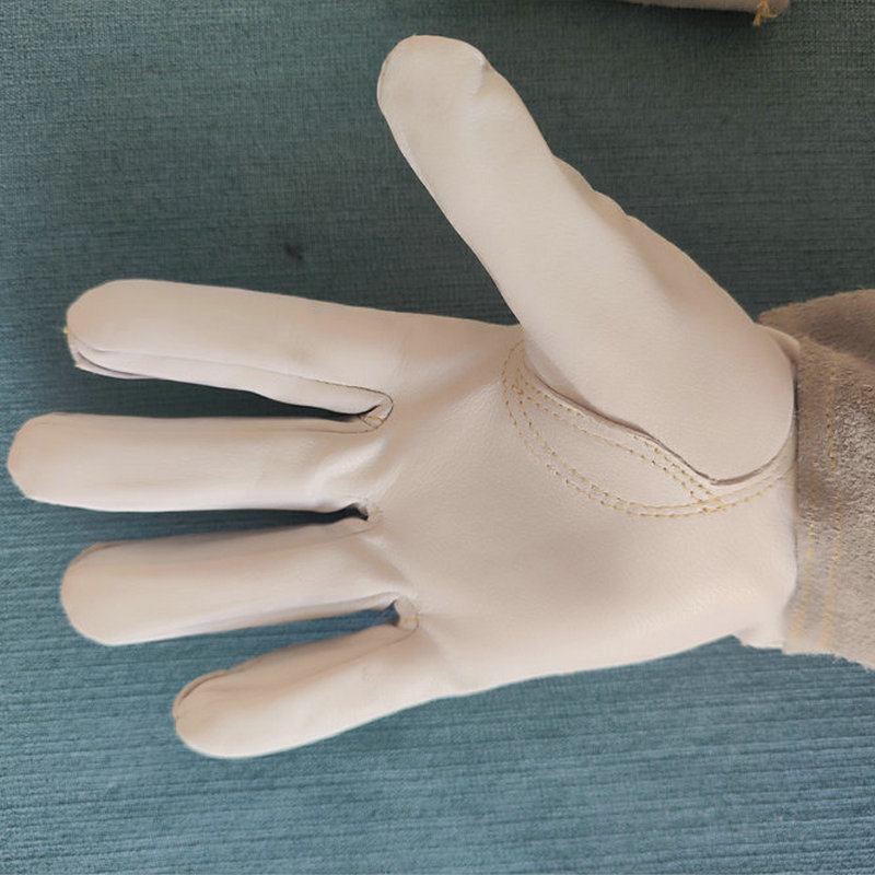 03b85602-6912-4201-a10a-ec5cd1