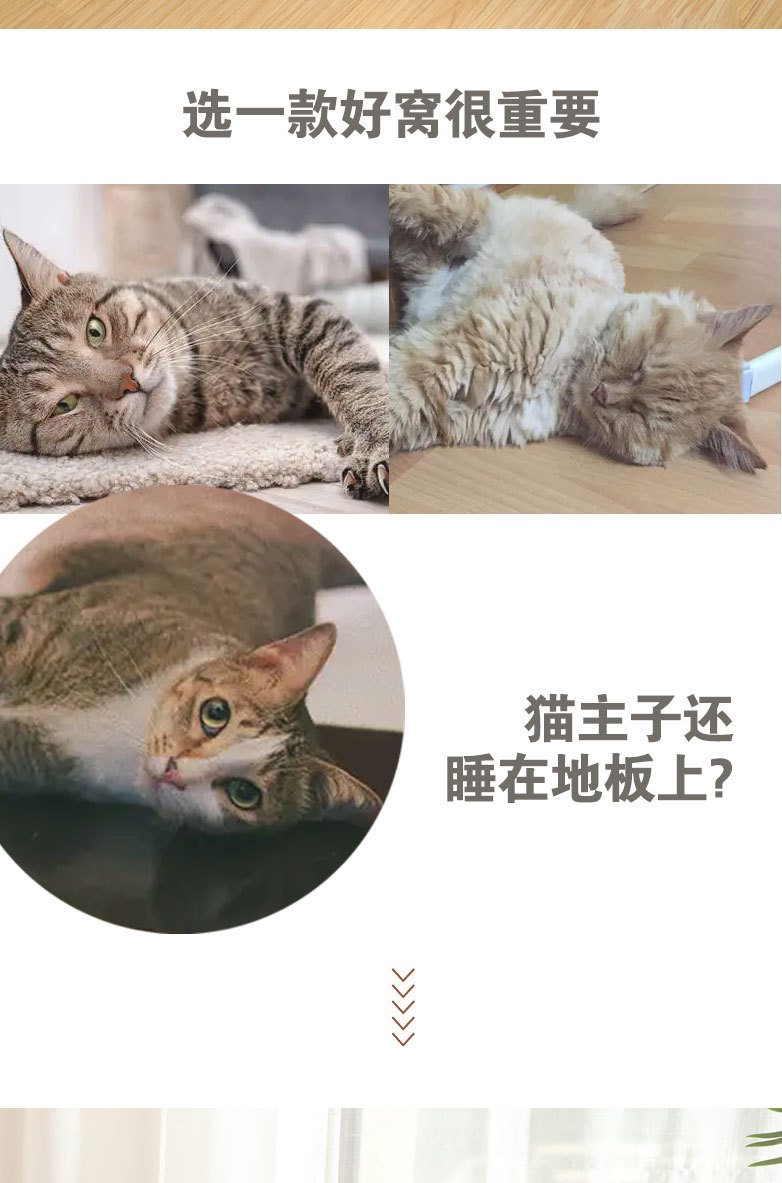 猫窝2_02