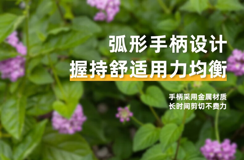 f412c3c9c88d9b06.jpg