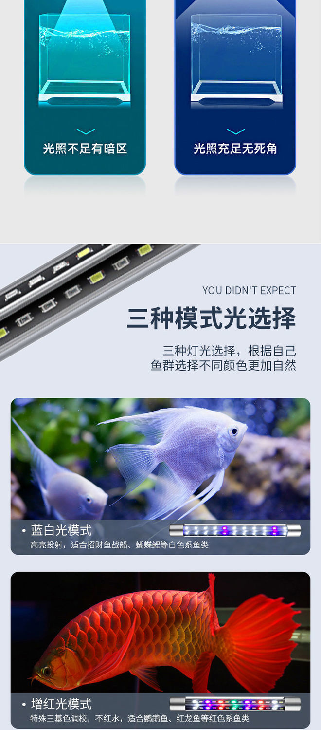 19523ba6-a132-412b-976f-89a2f72009b5.jpe