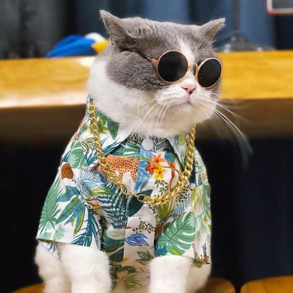 90901f98-fab9-4bab-825c-f9ea9c5e59e3.jpe