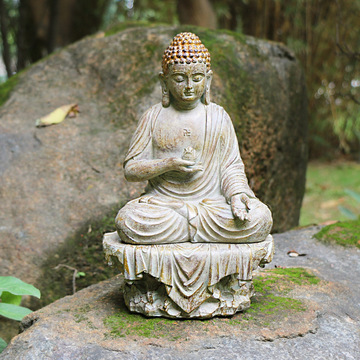 15722127397_541658711.360x360