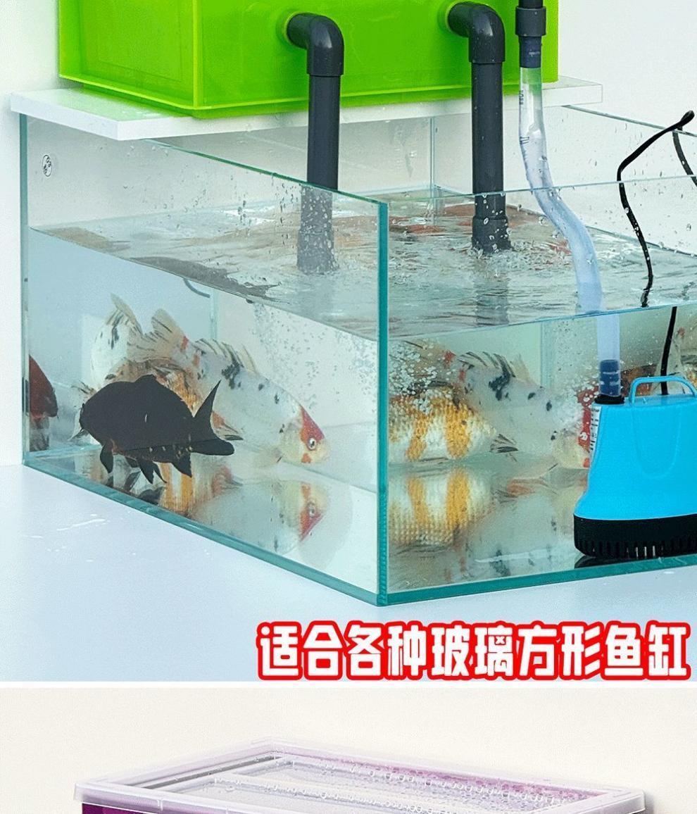 d3a1664b-ce24-471a-a2f3-a2e290c2cd69.jpe