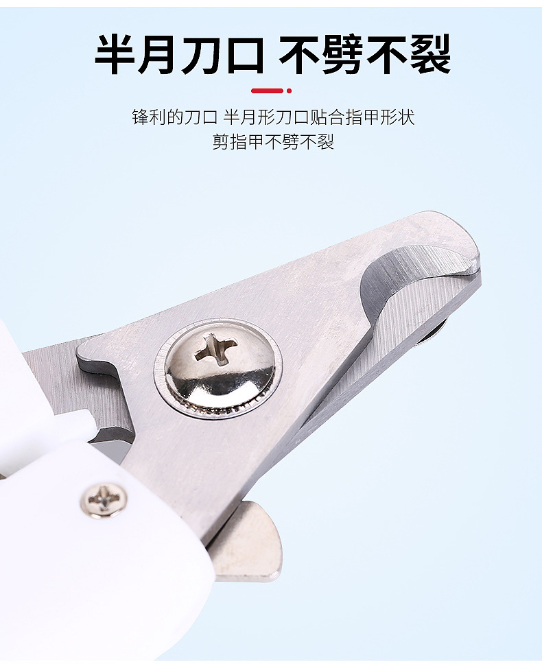 内页_06.jpg