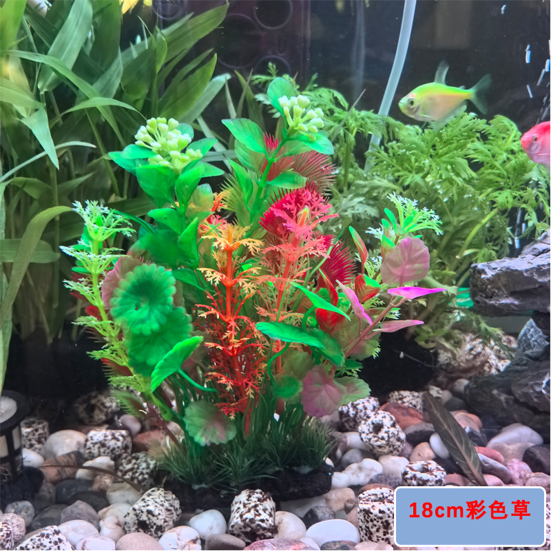 微信图片_2025-08-10_102740_390