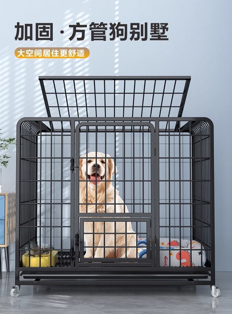 217b9f51-4db8-4886-a617-937c4d759fe6.jpe