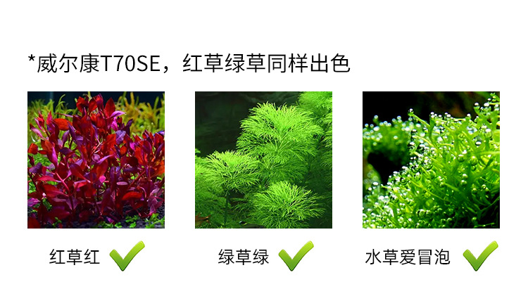 T70SE详情_08.jpg