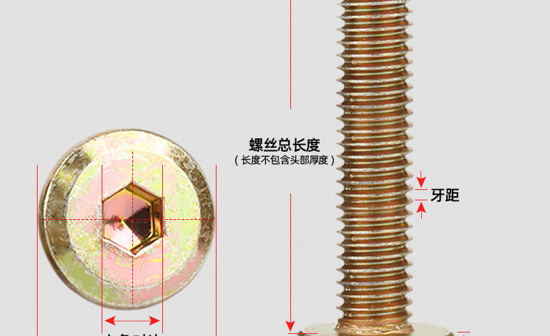 彩锌倒边内六角螺丝_03_12.jpg