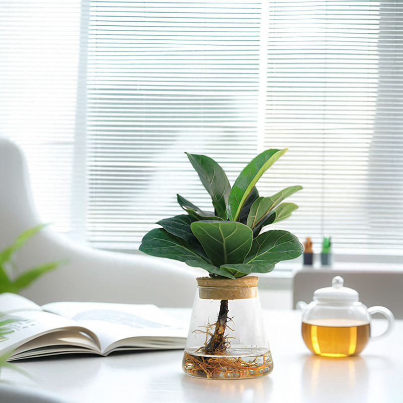 f5441e2b-92a2-4fa4-8a29-ebebea6e1b1f.jpe