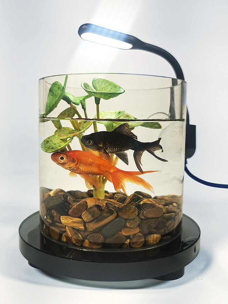 358f08d5-a167-4f3f-9442-b5280beec0f6.jpe