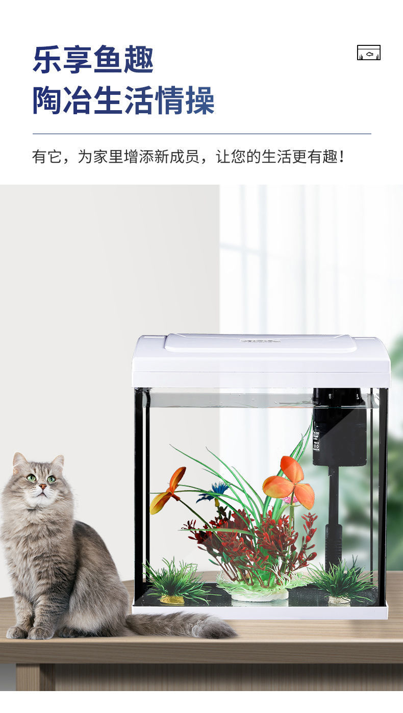 f95fd175-010f-4311-8514-c1e932172b91.jpe