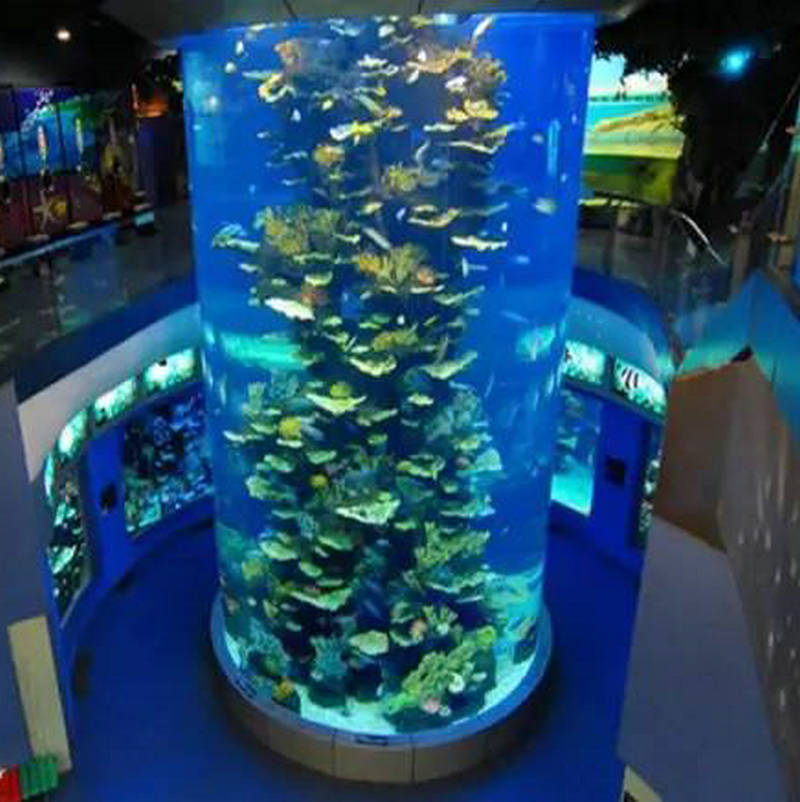 4bf961999d8643fbdc4eae68305_p2