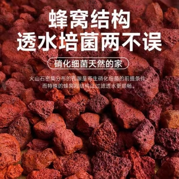 8ff25abf-c772-42d7-8916-cb4e59314183.jpe