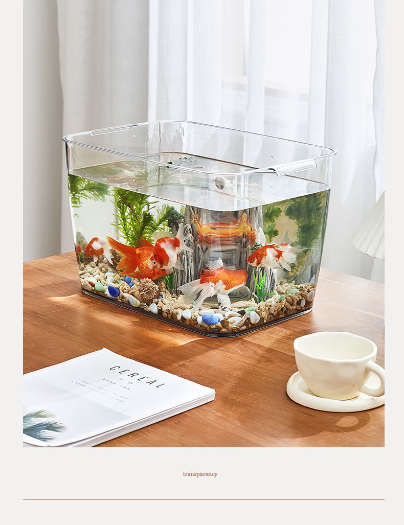 56772611-4066-4bf7-95fd-0bddedd8bcad.jpe