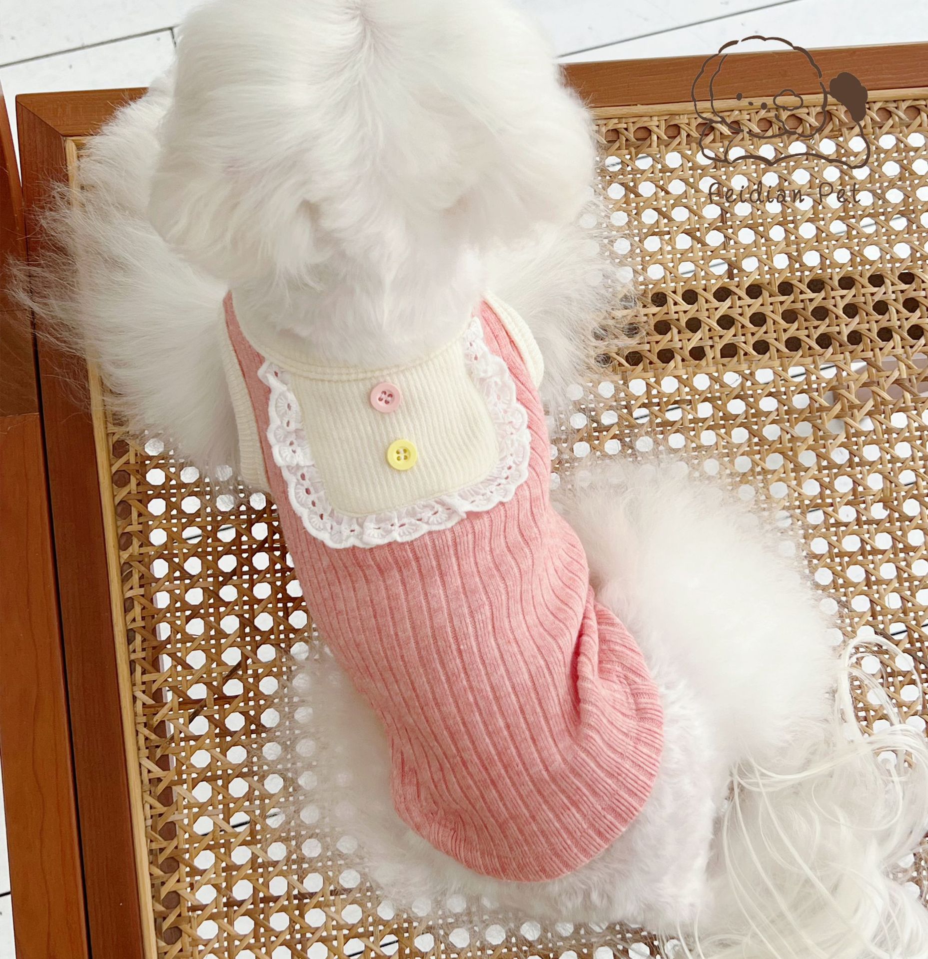 微信图片_20220822194948