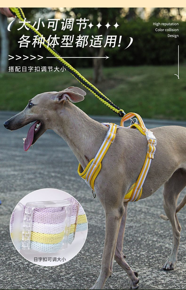 880e317b-cc8d-4322-8a89-dd2934b57395.jpe