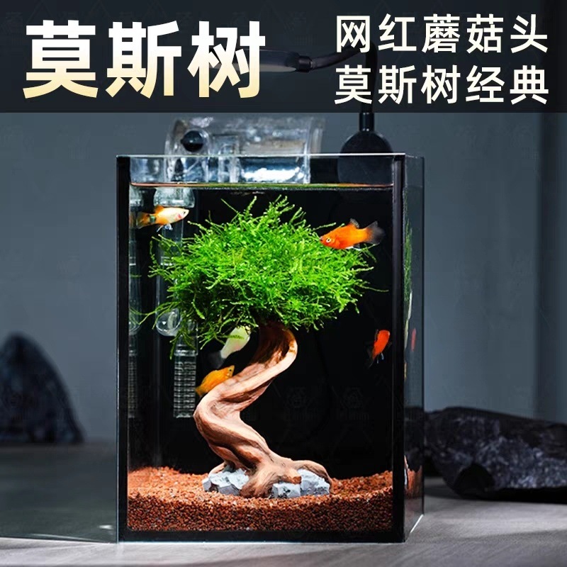 d4e7b8d6-8e5e-4ab5-aac6-054ad7942fd9.jpe