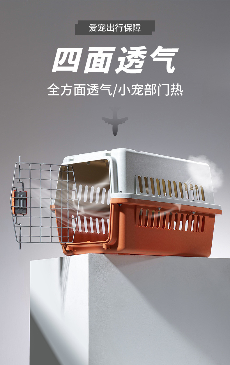 47f29584-9edf-402a-9395-47a354de8d6f.jpe