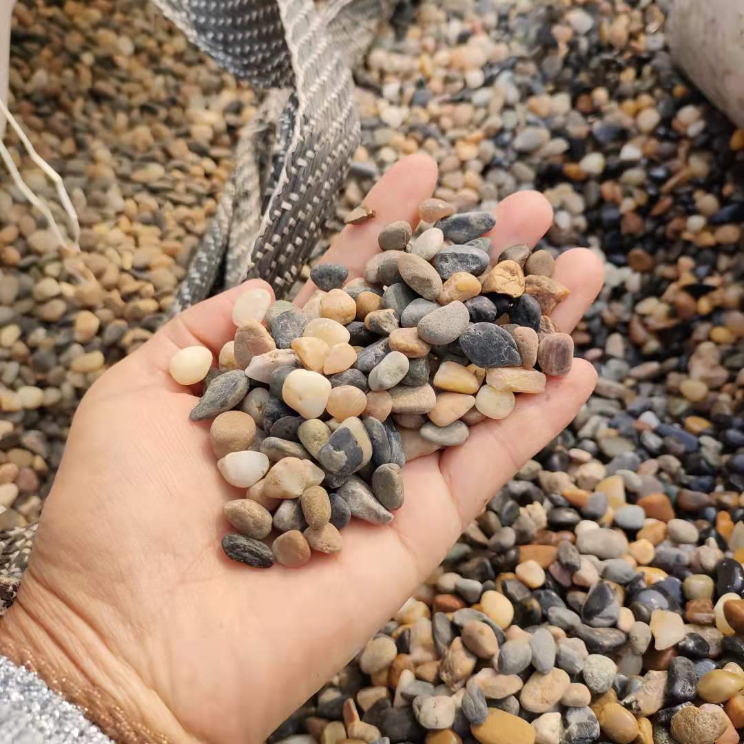 微信图片_20211118112553