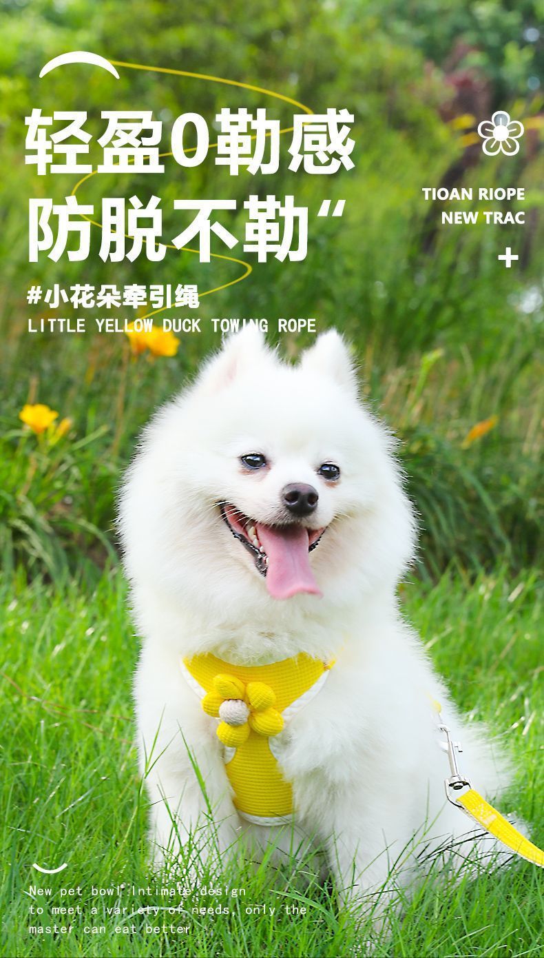 d27e5ffa-69e7-4eb9-99c4-0c582b4ee9cc.jpe